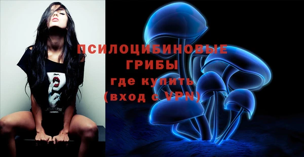 apvp Богородицк