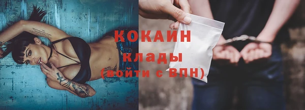 apvp Богородицк
