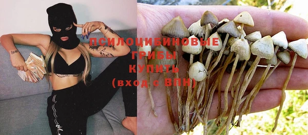 гашиш Богородск