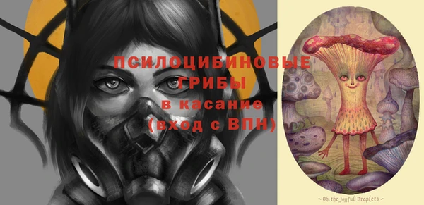 марки nbome Богданович